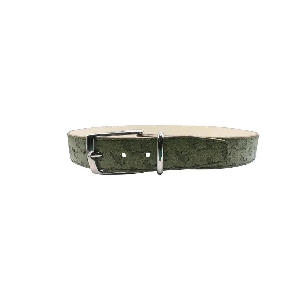 Wonder Nation Dinosaur Belt Kids Medium M Green Casual Silver‎ Buckle Dino Print